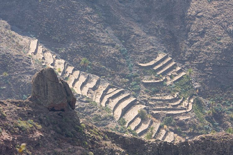 Fortaleza de Chipude (La Gomera - 20081017)