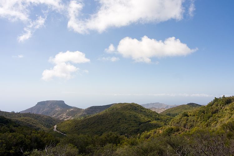 Garajonay (La Gomera - 20081014)
