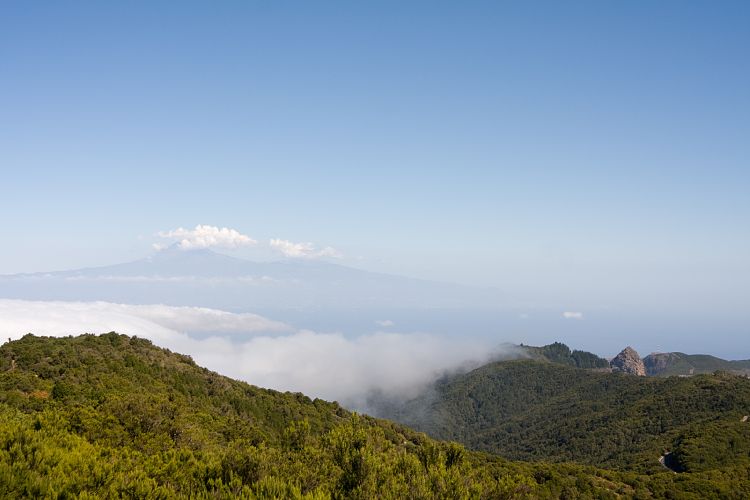 Garajonay (La Gomera - 20081014)