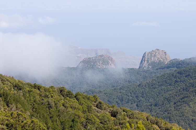 Garajonay (La Gomera - 20081014)