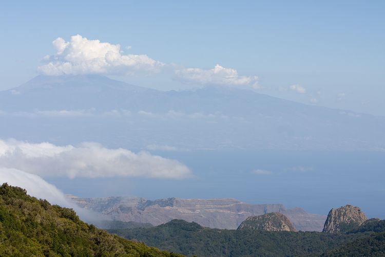 Garajonay (La Gomera - 20081014)