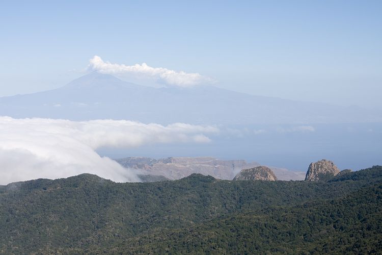 Garajonay (La Gomera - 20081014)