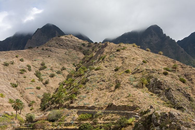 Hermigua (La Gomera - 20081019)