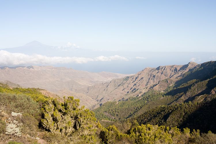 Los Roques (La Gomera - 20081014)