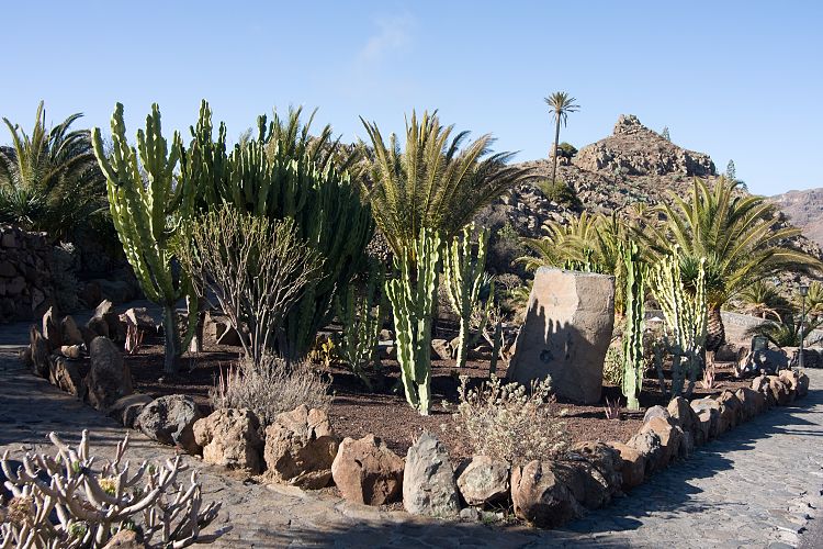 Mirador de Cesar Manrique (La Gomera - 20081014)