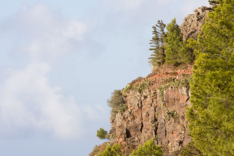 Mirador Ermita El Santo (La Gomera - 20081015)