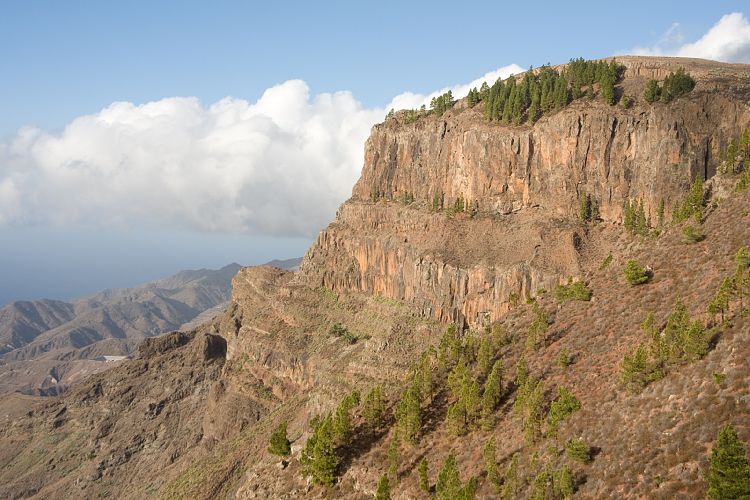 Mirador Ermita El Santo (La Gomera - 20081015)