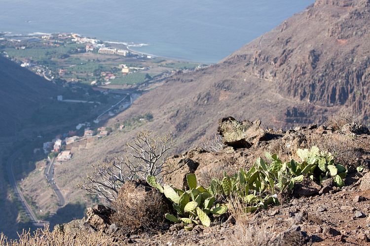 Valle Gran Rey (La Gomera - 20081014)