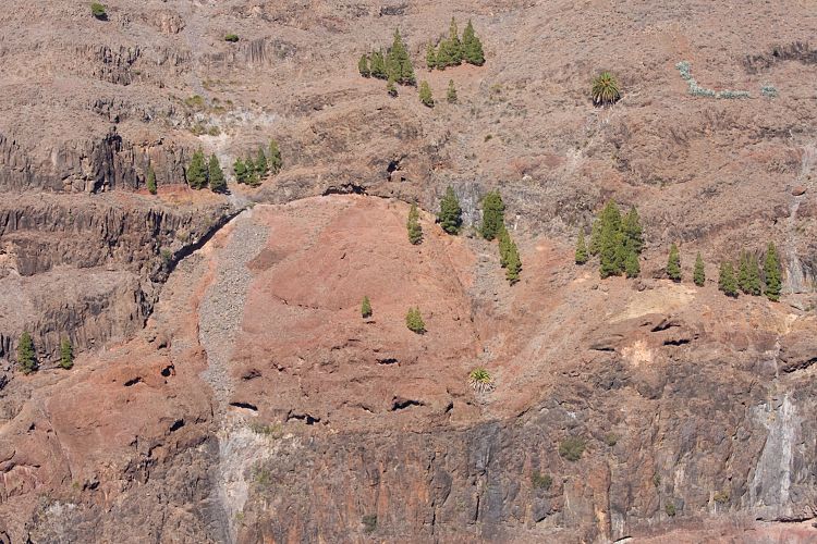 Valle Gran Rey (La Gomera - 20081015)