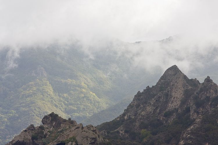 Vallehermoso (La Gomera - 20081015)