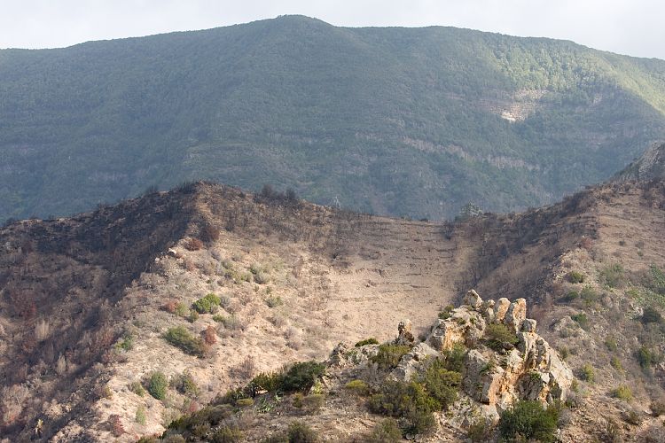 Vallehermoso (La Gomera - 20081015)