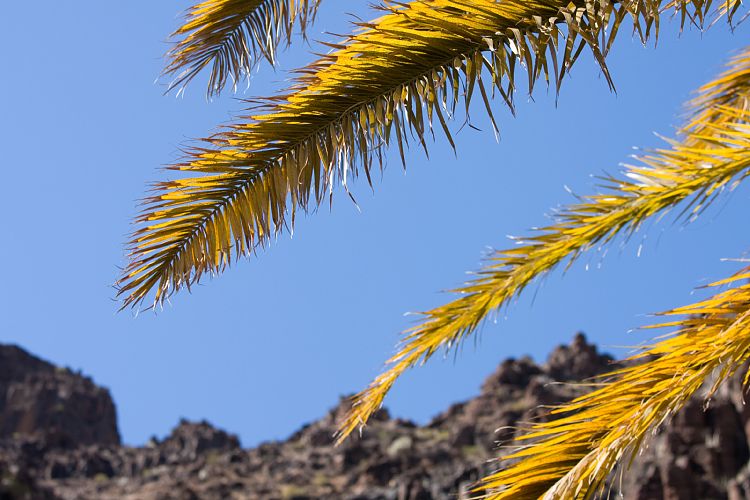 Wasserfall Wanderung (La Gomera - 20081018)