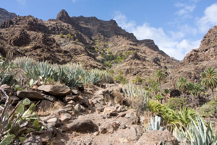 Wasserfall Wanderung (La Gomera - 20081018)