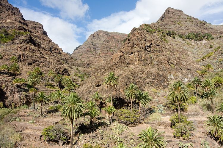 Wasserfall Wanderung (La Gomera - 20081018)