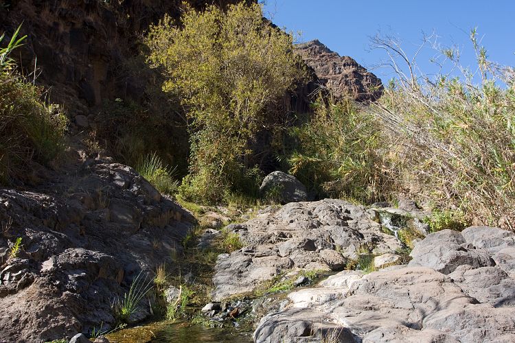 Wasserfall Wanderung (La Gomera - 20081018)