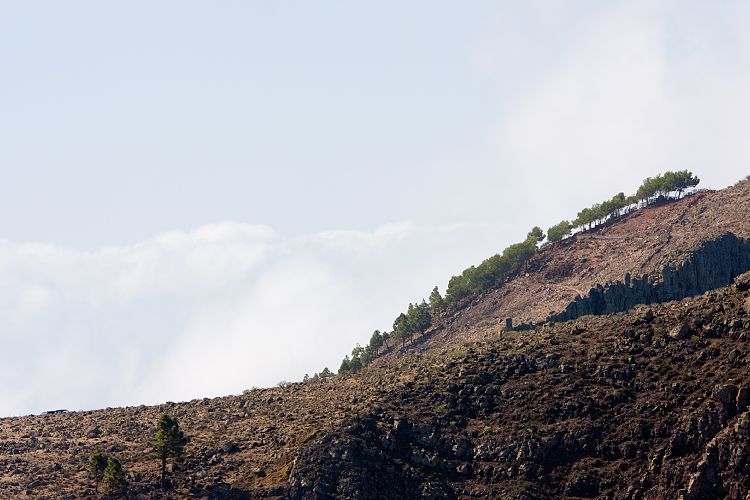 Weg Arure - La Calera (La Gomera - 20081014)