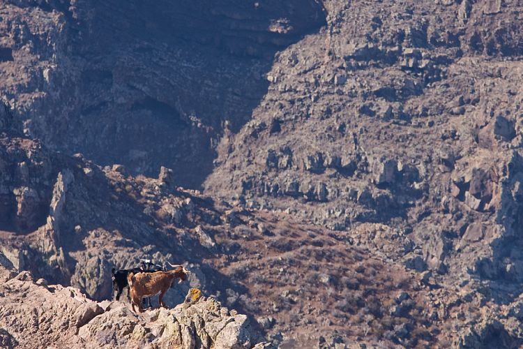 Weg Arure - La Calera (La Gomera - 20081014)