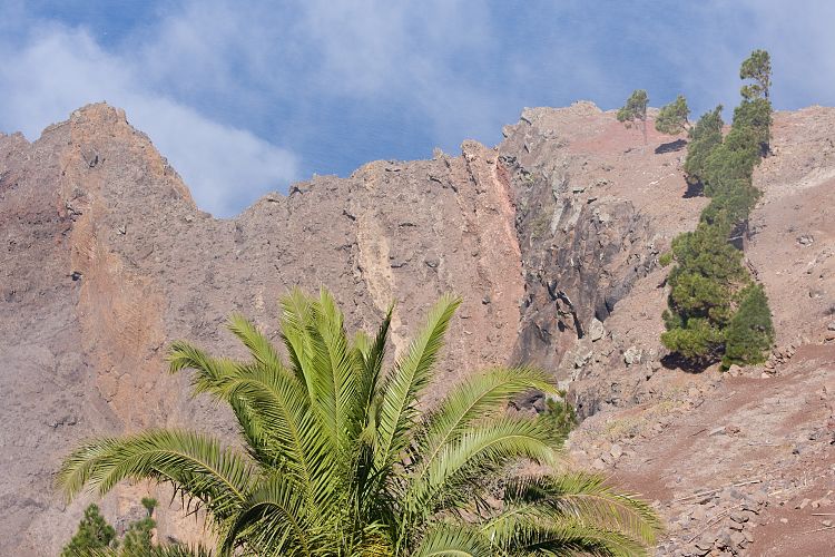 Weg Arure - La Calera (La Gomera - 20081014)