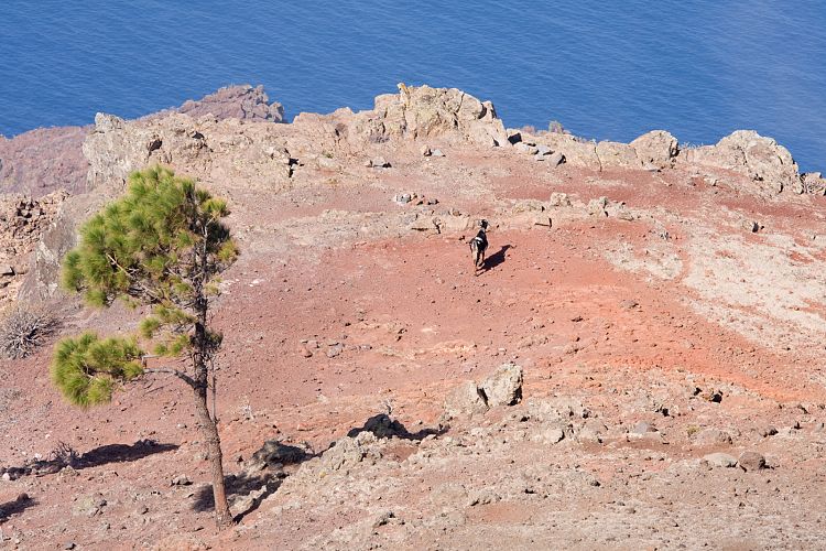 Weg Arure - La Calera (La Gomera - 20081014)