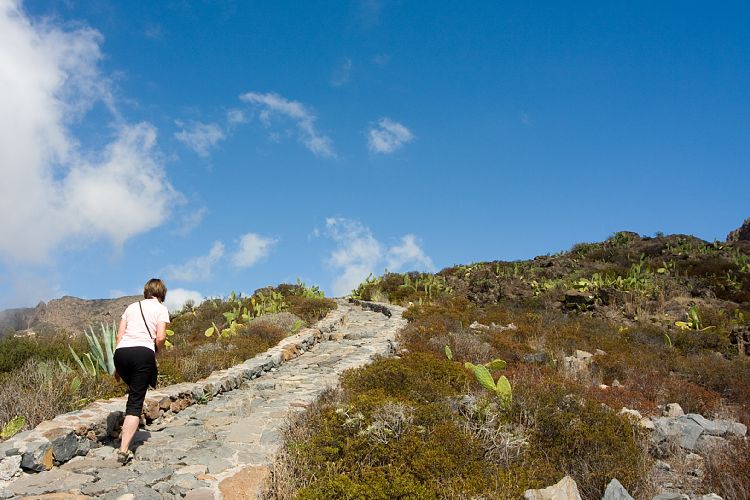Weg zum Drago Centenario (La Gomera - 20081017)