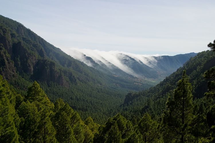 Cumbrecita (La Palma - 20031211)