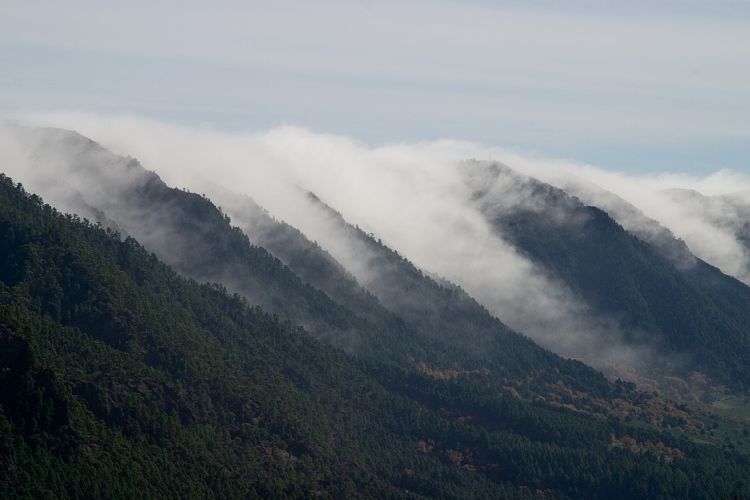 Cumbrecita (La Palma - 20031211)