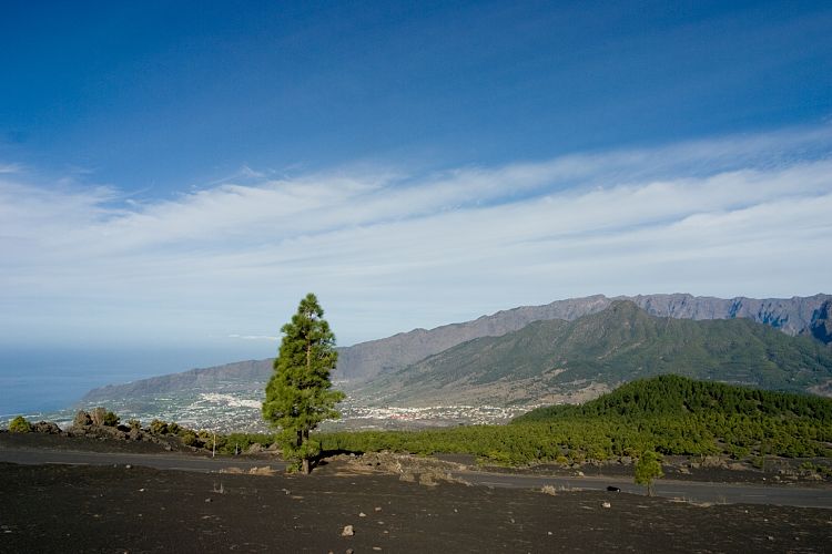 Laderas del Gallo (La Palma - 20031216)