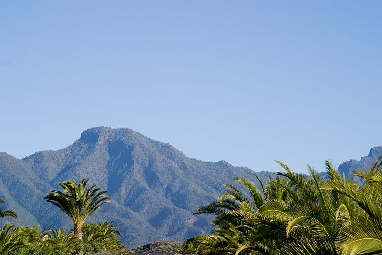 Rundfahrt im Norden (La Palma - 20031212)