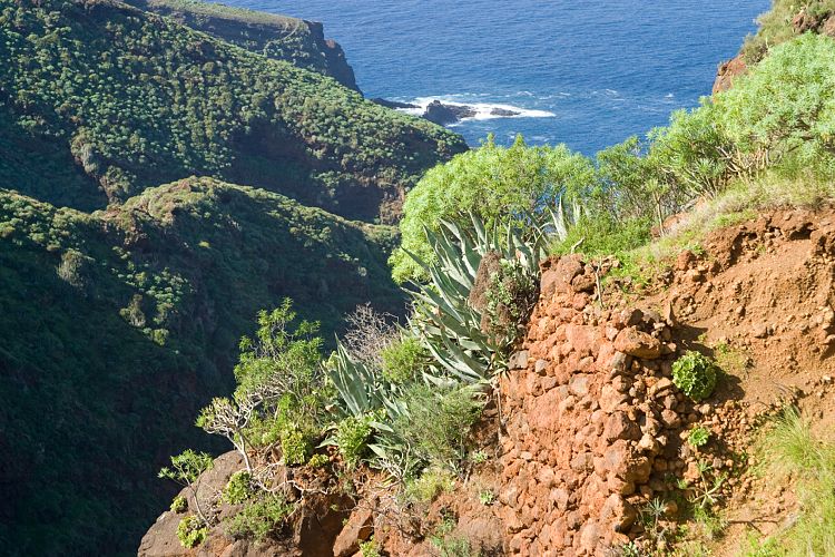 Rundfahrt im Norden (La Palma - 20031212)