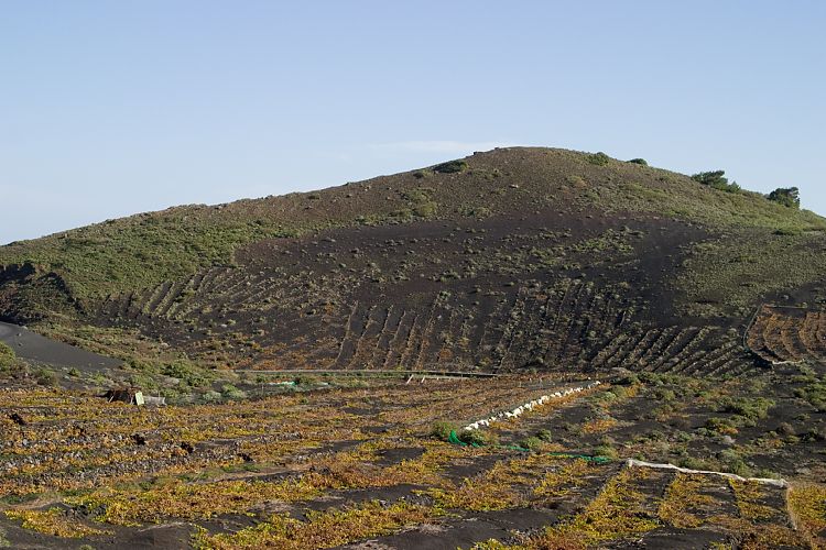 Wanderung zum Faro de Fuencaliente (La Palma - 20031213)