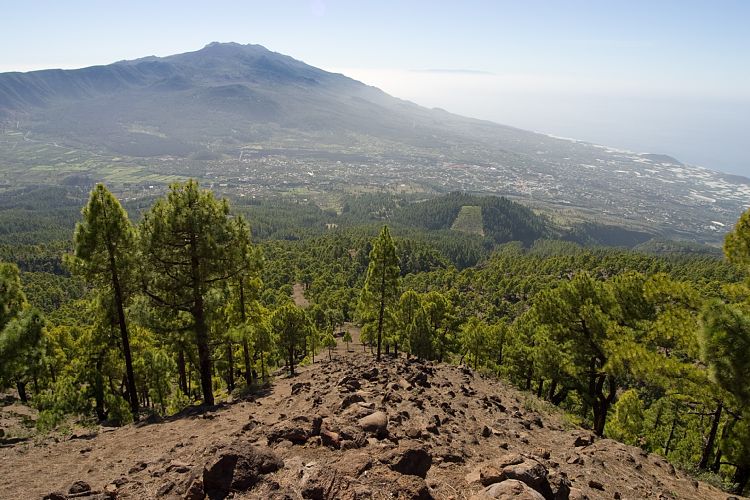 Wanderung zum Pico Bejenado (La Palma - 20031215)