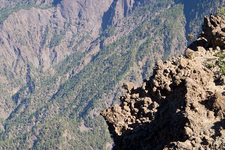 Wanderung zum Pico Bejenado (La Palma - 20031215)