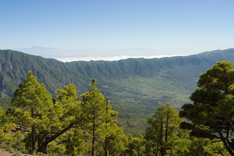 Wanderung zum Pico Bejenado (La Palma - 20031215)