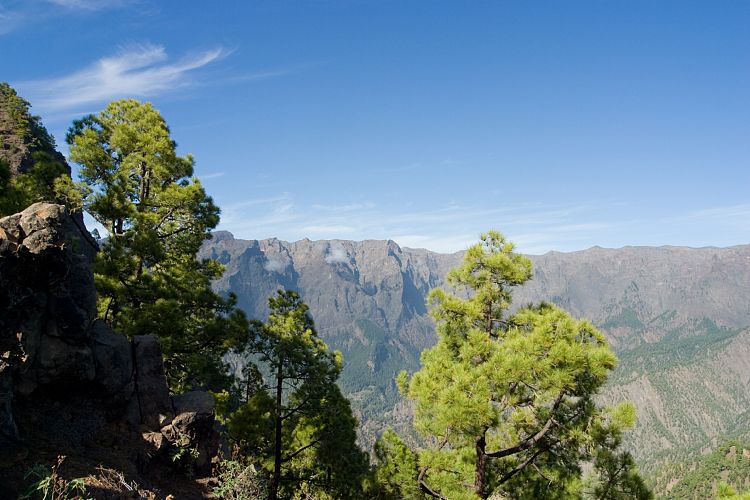 La Palma 2003 - Wanderung zum Pico Bejenado