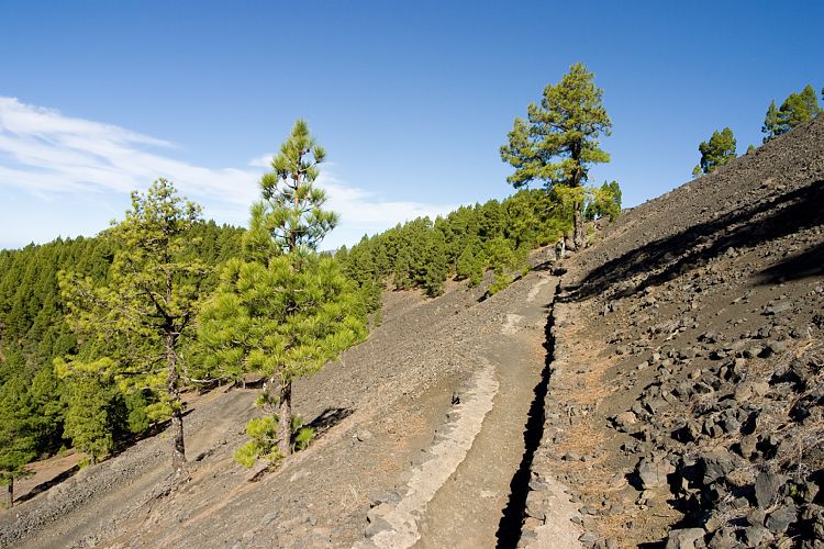 Wanderung zum Pico Birigoyo (La Palma - 20031214)