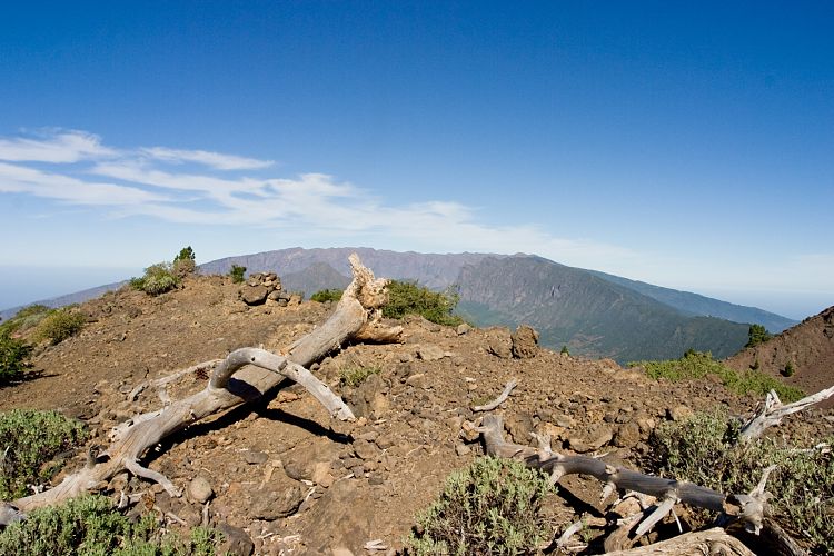 Wanderung zum Pico Birigoyo (La Palma - 20031214)