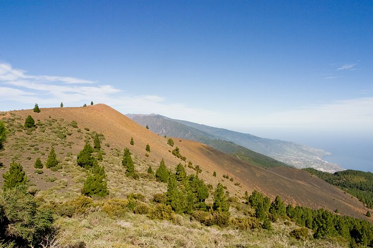 Wanderung zum Pico Birigoyo (La Palma - 20031214)