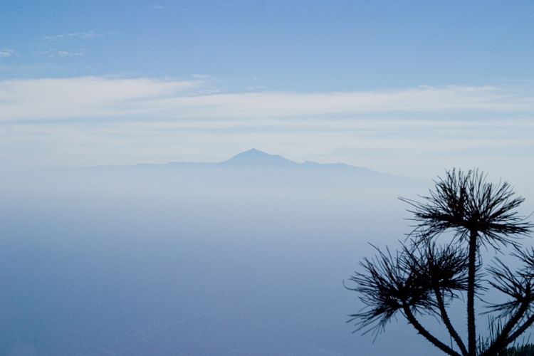 Wanderung zum Pico Birigoyo (La Palma - 20031214)