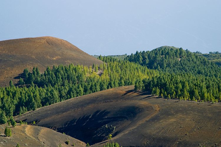 Wanderung zum Pico Birigoyo (La Palma - 20031214)