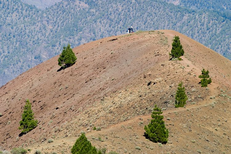Wanderung zum Pico Birigoyo (La Palma - 20031214)