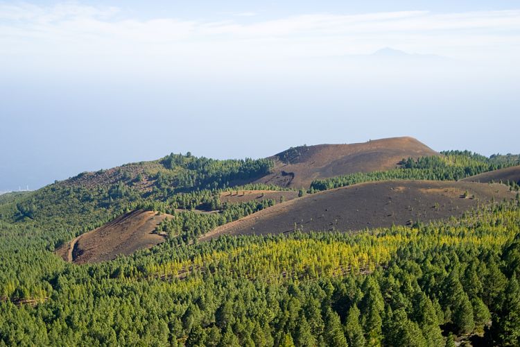Wanderung zum Pico Birigoyo (La Palma - 20031214)