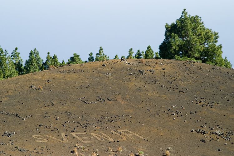 Wanderung zum Pico Birigoyo (La Palma - 20031214)
