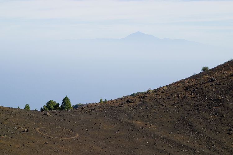 Wanderung zum Pico Birigoyo (La Palma - 20031214)