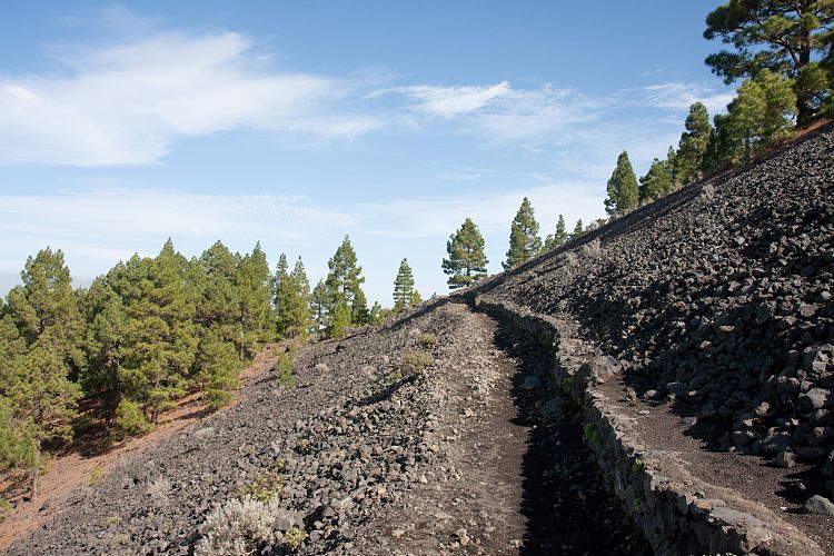 Aufstieg zum Birigoyo (La Palma - Pico Birigoyo)