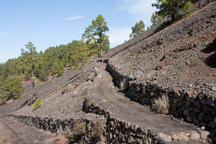 Aufstieg zum Birigoyo (La Palma - Pico Birigoyo)