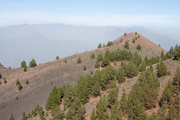 Aufstieg zum Birigoyo (La Palma - Pico Birigoyo)