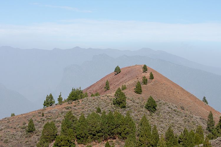 Aufstieg zum Birigoyo (La Palma - Pico Birigoyo)