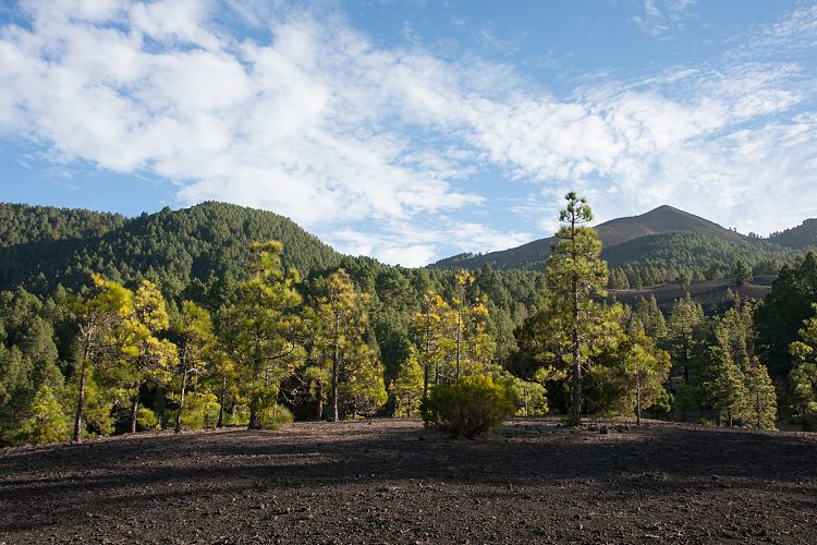 Camino Cabeza de Vaca (La Palma - Sden)