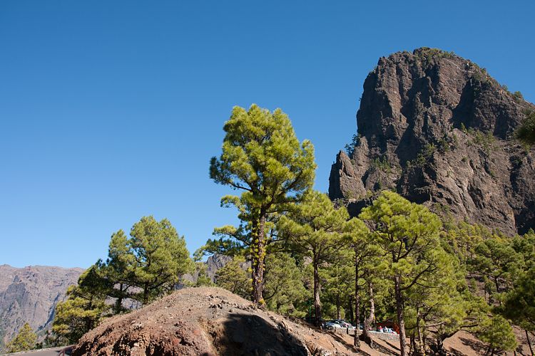 Cumbrecita (La Palma - Cumbrecita)