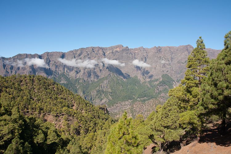 Cumbrecita (La Palma - Cumbrecita)